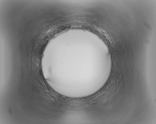 X0000115311445200912141127