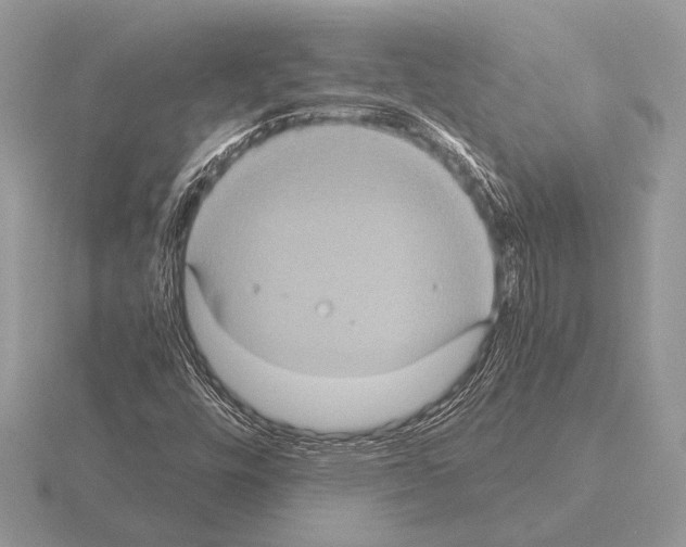 X0000115311448200912141127