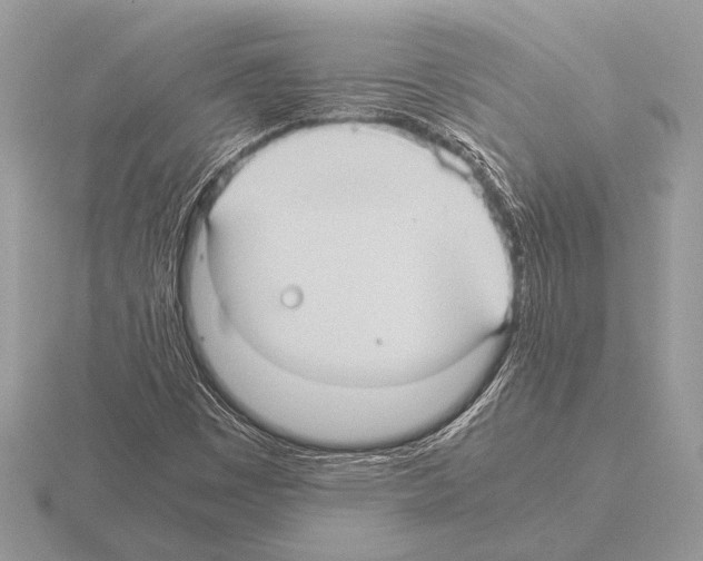 X0000115311449200912141127