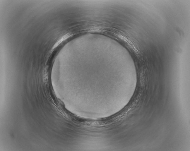 X0000115311450200912141127