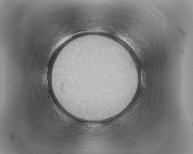 X0000115311452200912141127