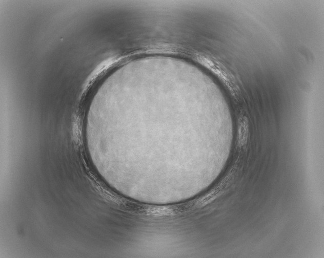 X0000115311454200912141127