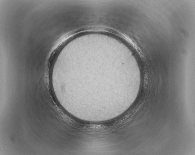 X0000115311456200912141127