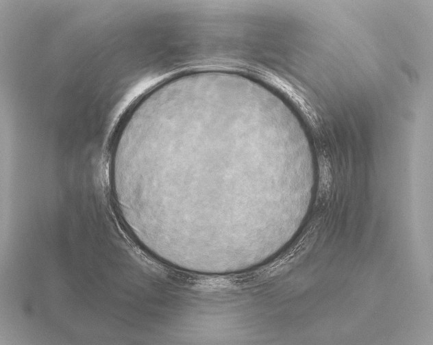 X0000115311462200912141127