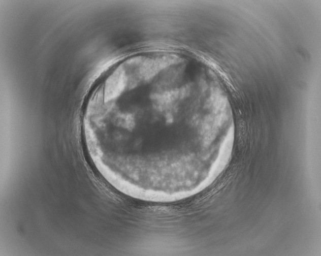 X0000115311463200912141127