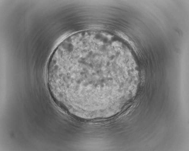 X0000115311467200912141127