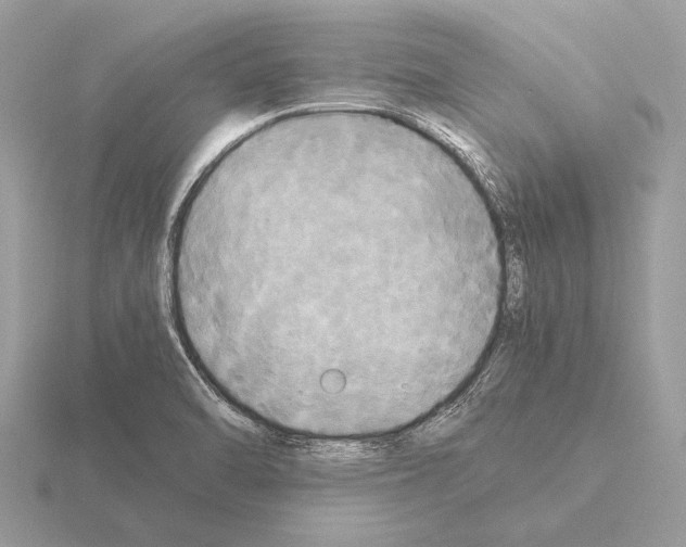 X0000115311470200912141127