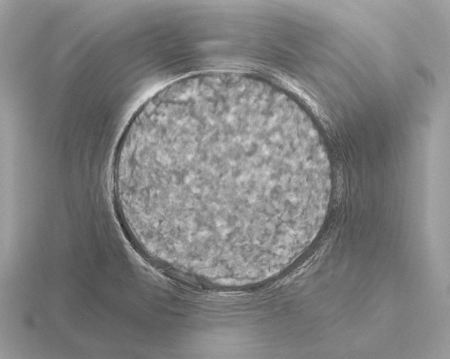 X0000115311471200912141127