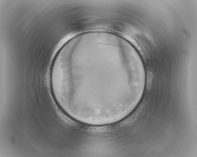 X0000115311474200912141127