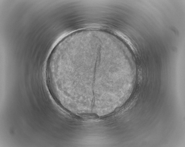 X0000115311475200912141127