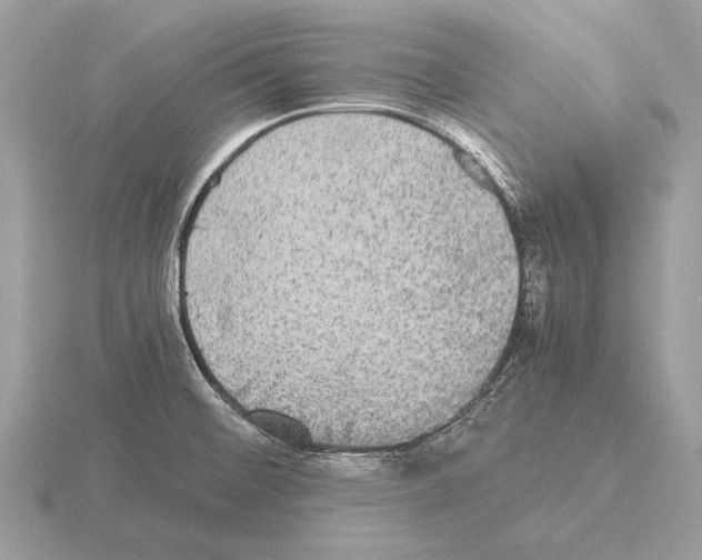 X0000115311476200912141127