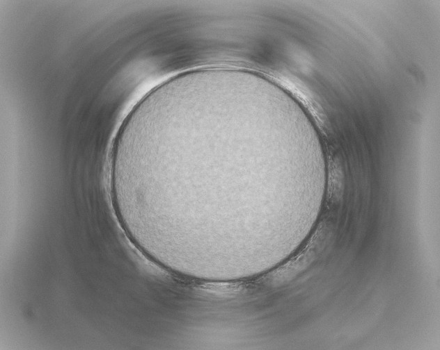 X0000115311478200912141127