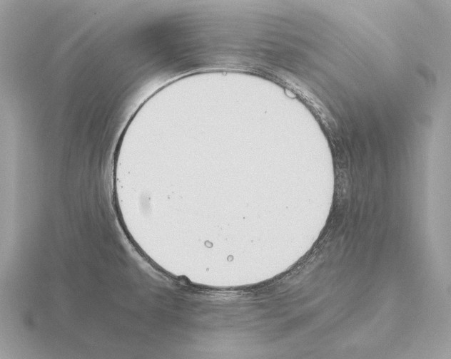 X0000115311479200912141127