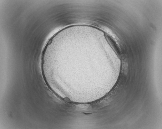 X0000115311480200912141127