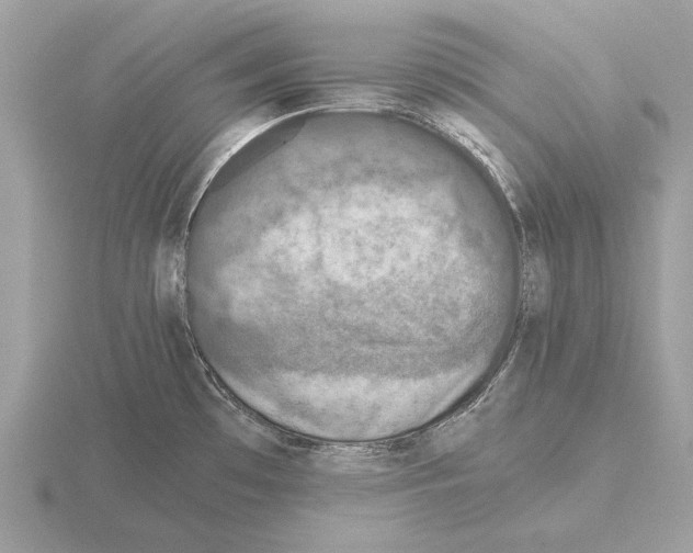 X0000115311481200912141126