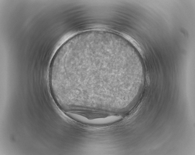 X0000115311482200912141126