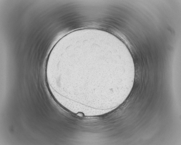 X0000115311483200912141126