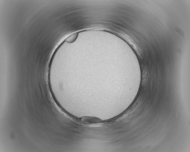 X0000115311484200912141126