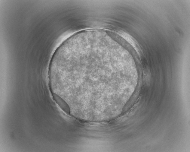 X0000115311485200912141126