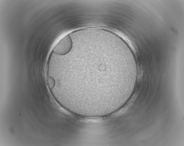 X0000115311486200912141126