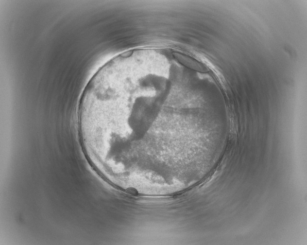 X0000115311487200912141126