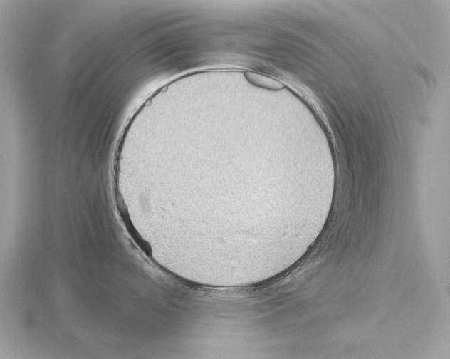 X0000115311488200912141126