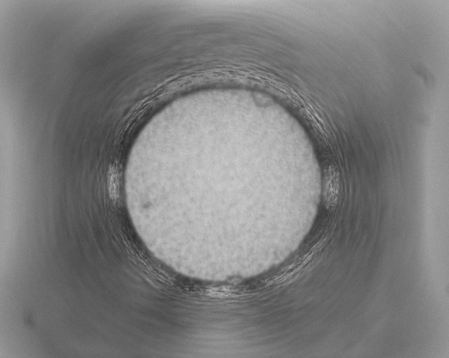 X0000115311490200912141126