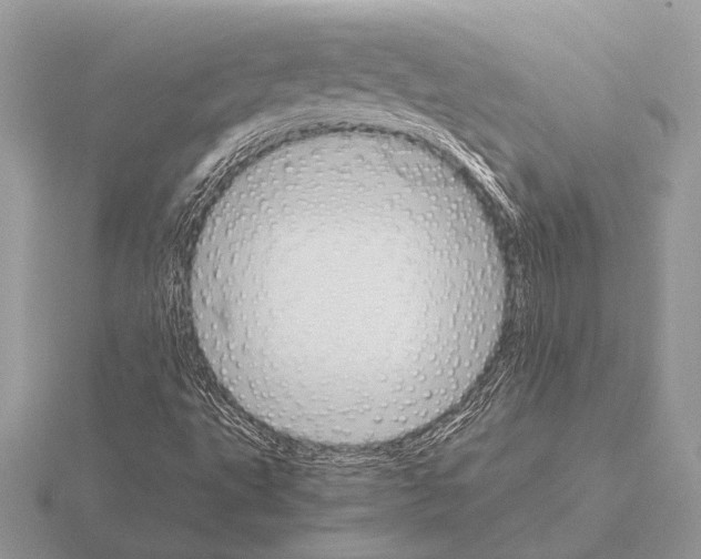 X0000115311495200912141126