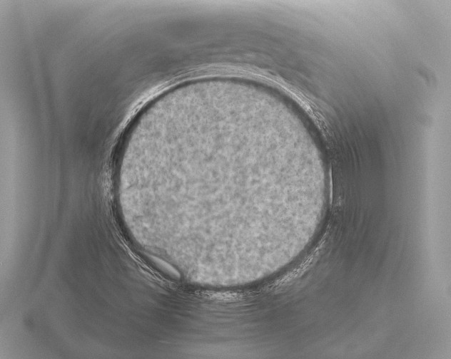 X0000115311501200912141126