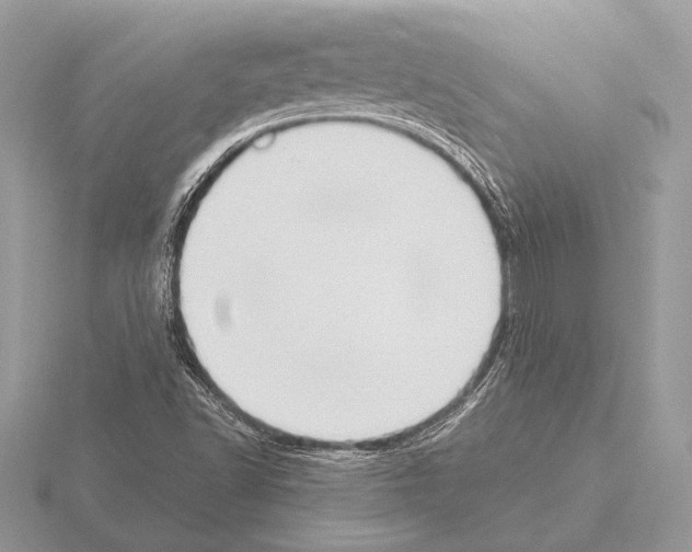 X0000115311502200912141126