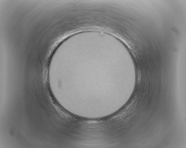 X0000115311507200912141126