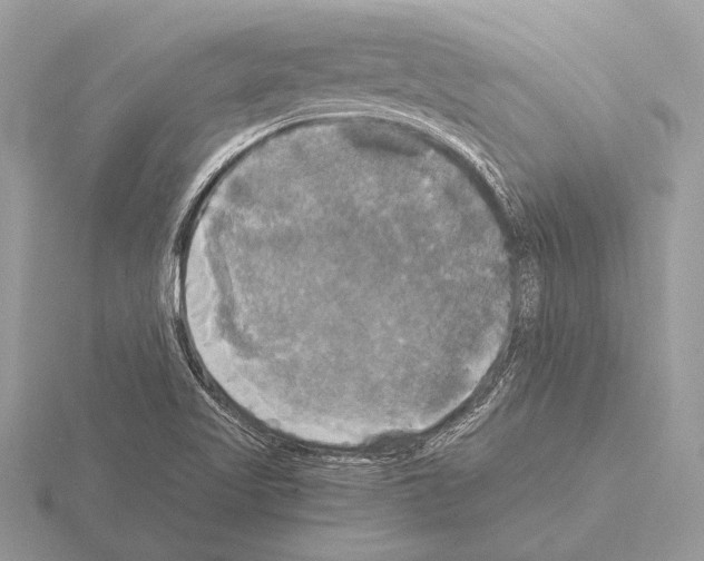 X0000115311509200912141126