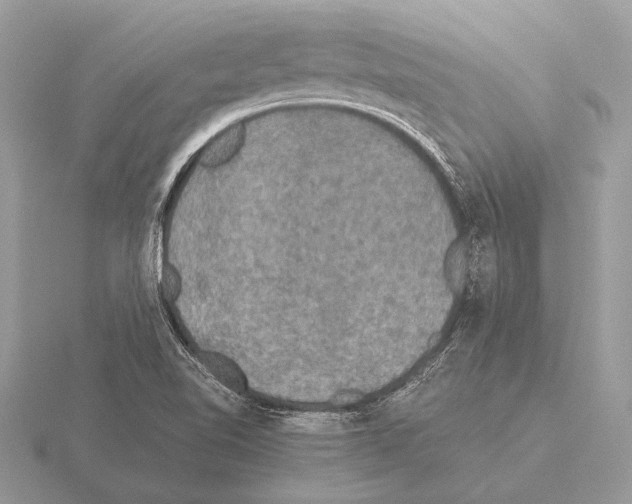 X0000115311510200912141126