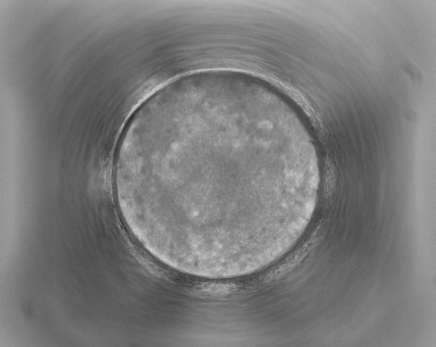 X0000115311513200912141126