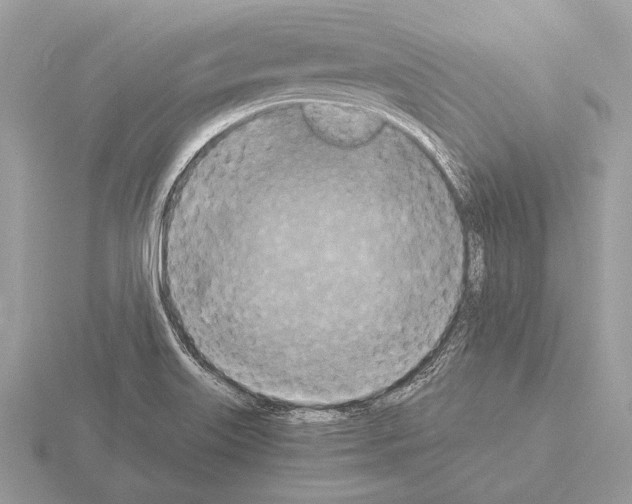 X0000115311515200912141126