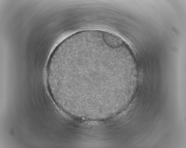 X0000115311517200912141126