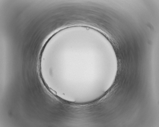 X0000115311518200912141126