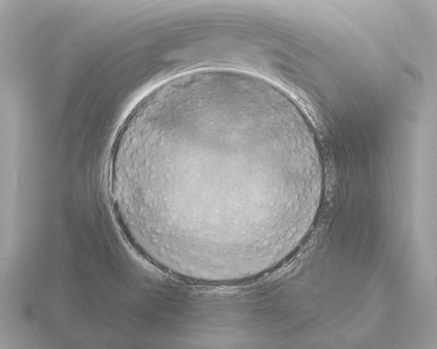 X0000115311519200912141126