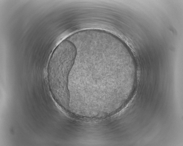 X0000115311521200912141126