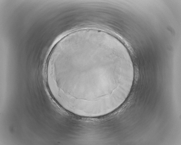 X0000115311522200912141126