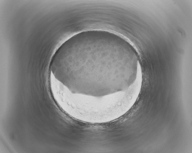 X0000115311525200912141126