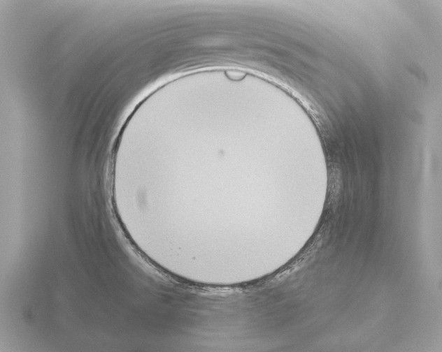 X0000115311526200912141126