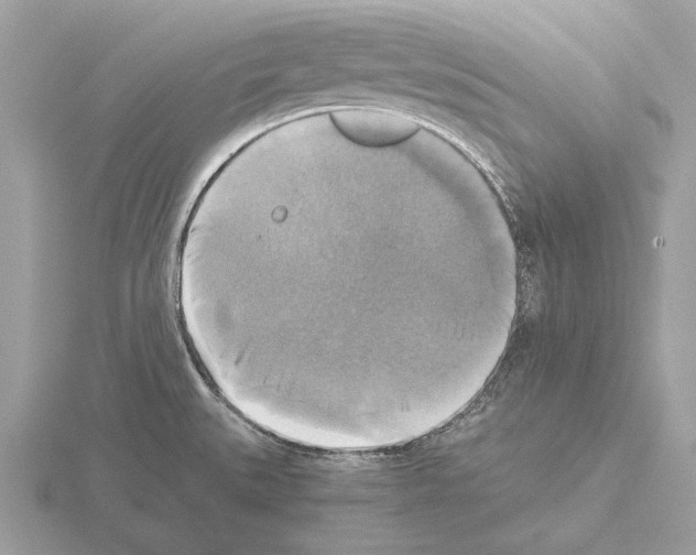 X0000115311527200912141126