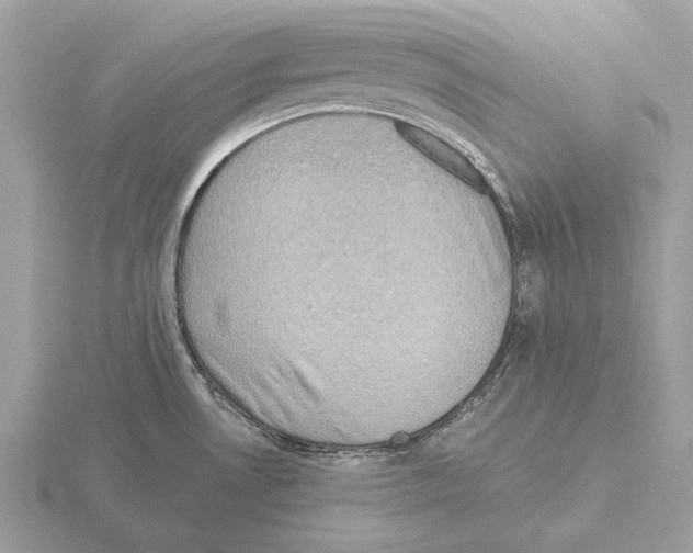 X0000115311530200912141126