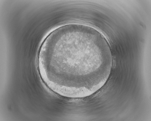 X0000115311531200912141126