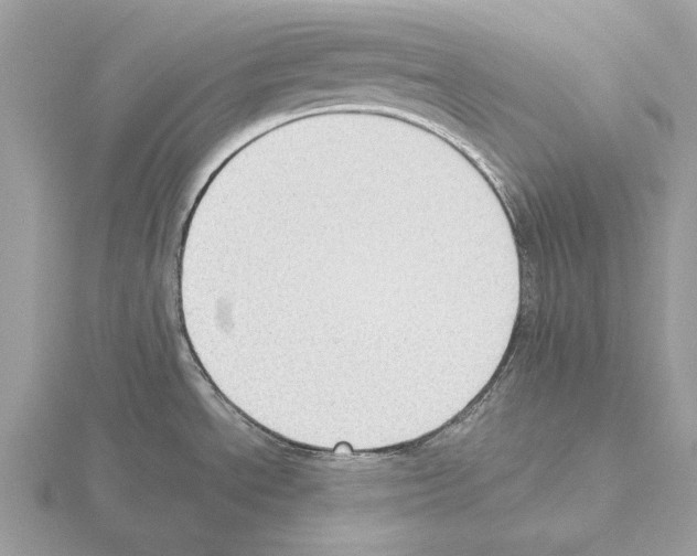 X0000115311534200912141126