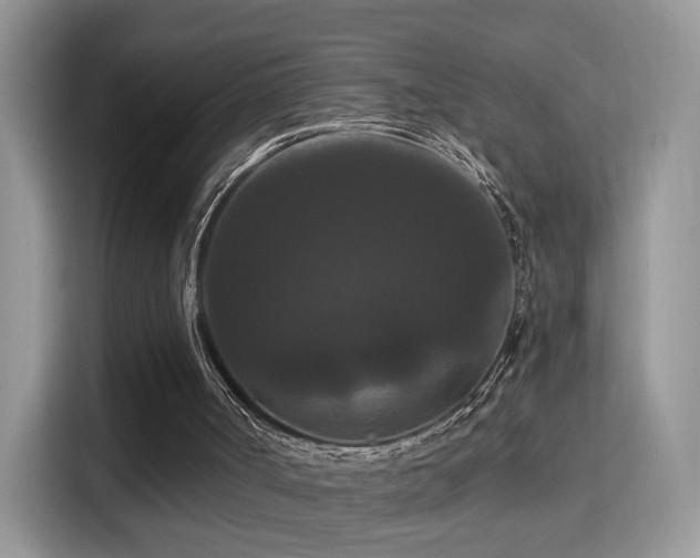 X0000115320002200911091206