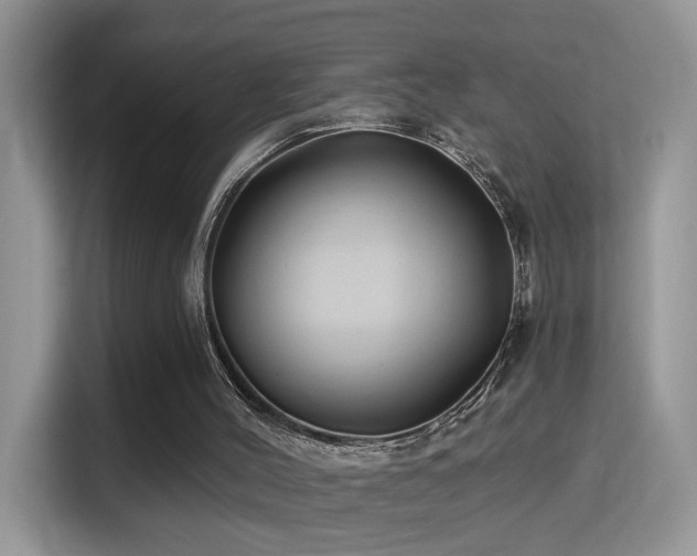 X0000115320004200911091206