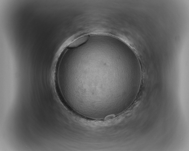 X0000115320007200911091206