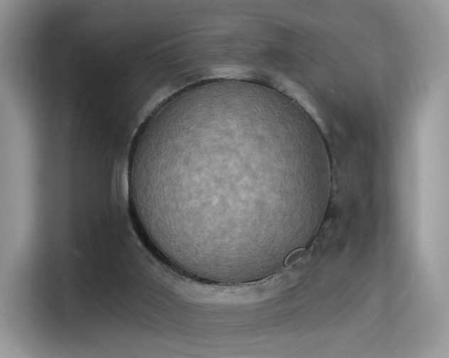 X0000115320011200911091206